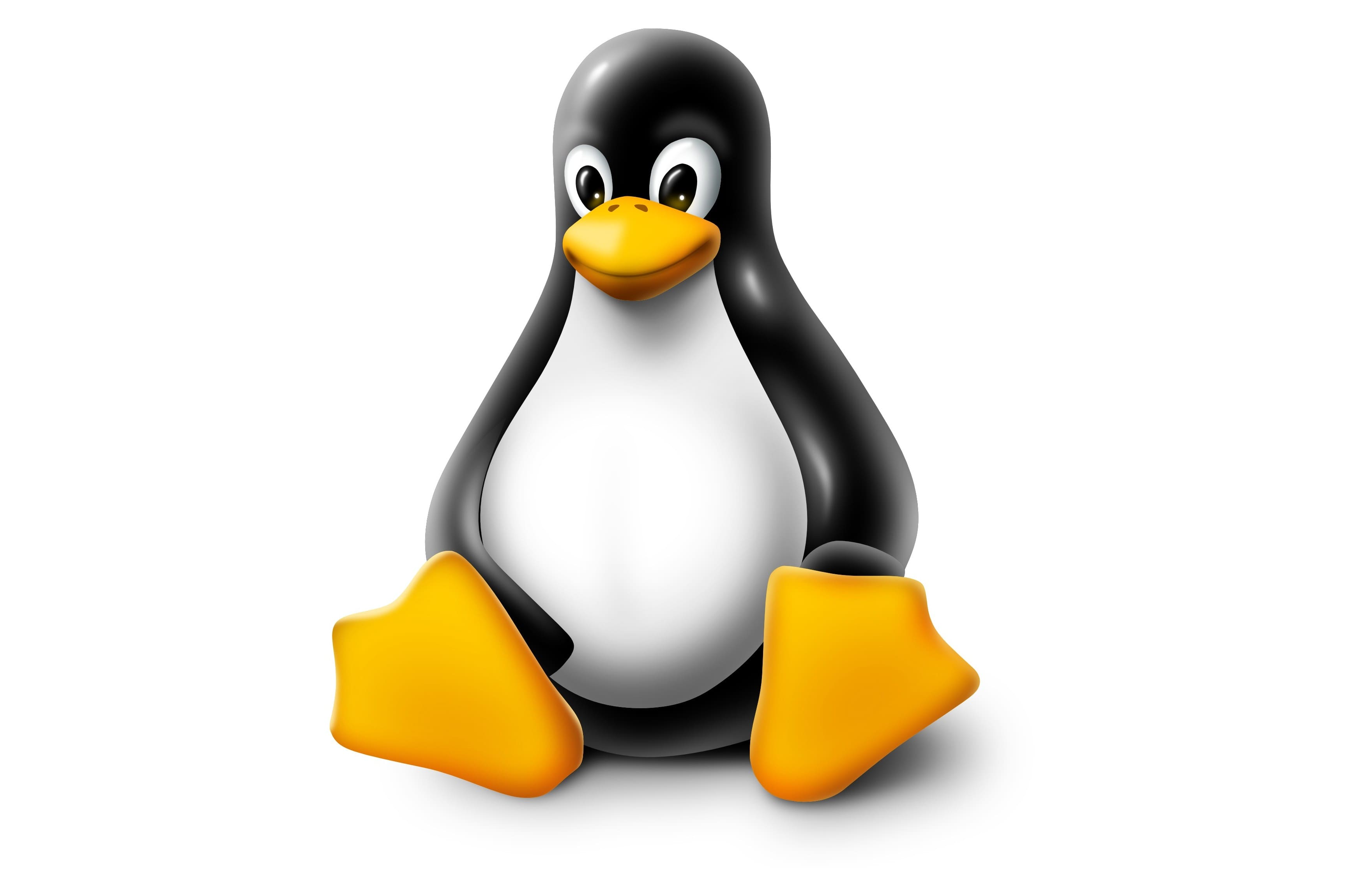 Linux Logo