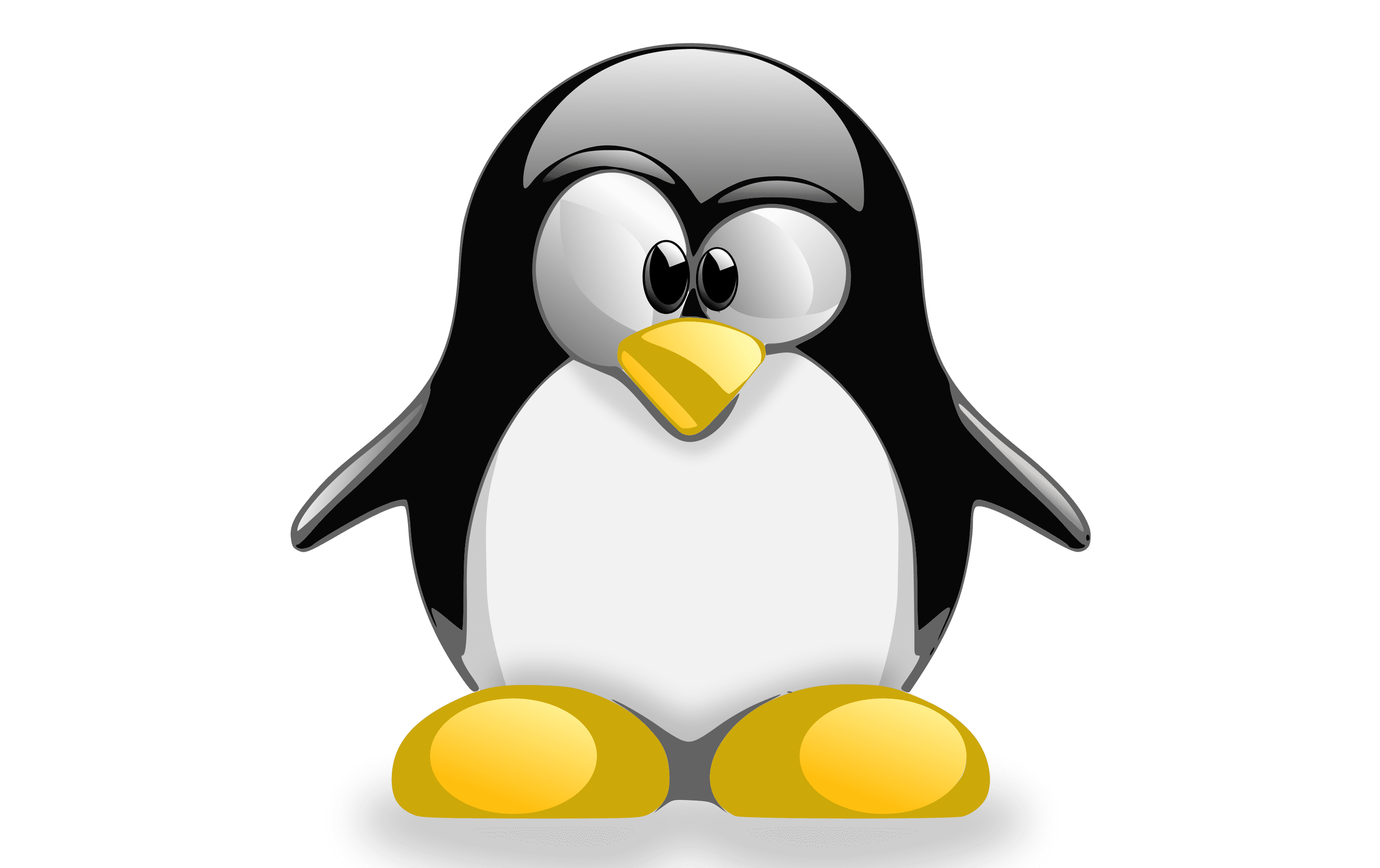 Linux Logo