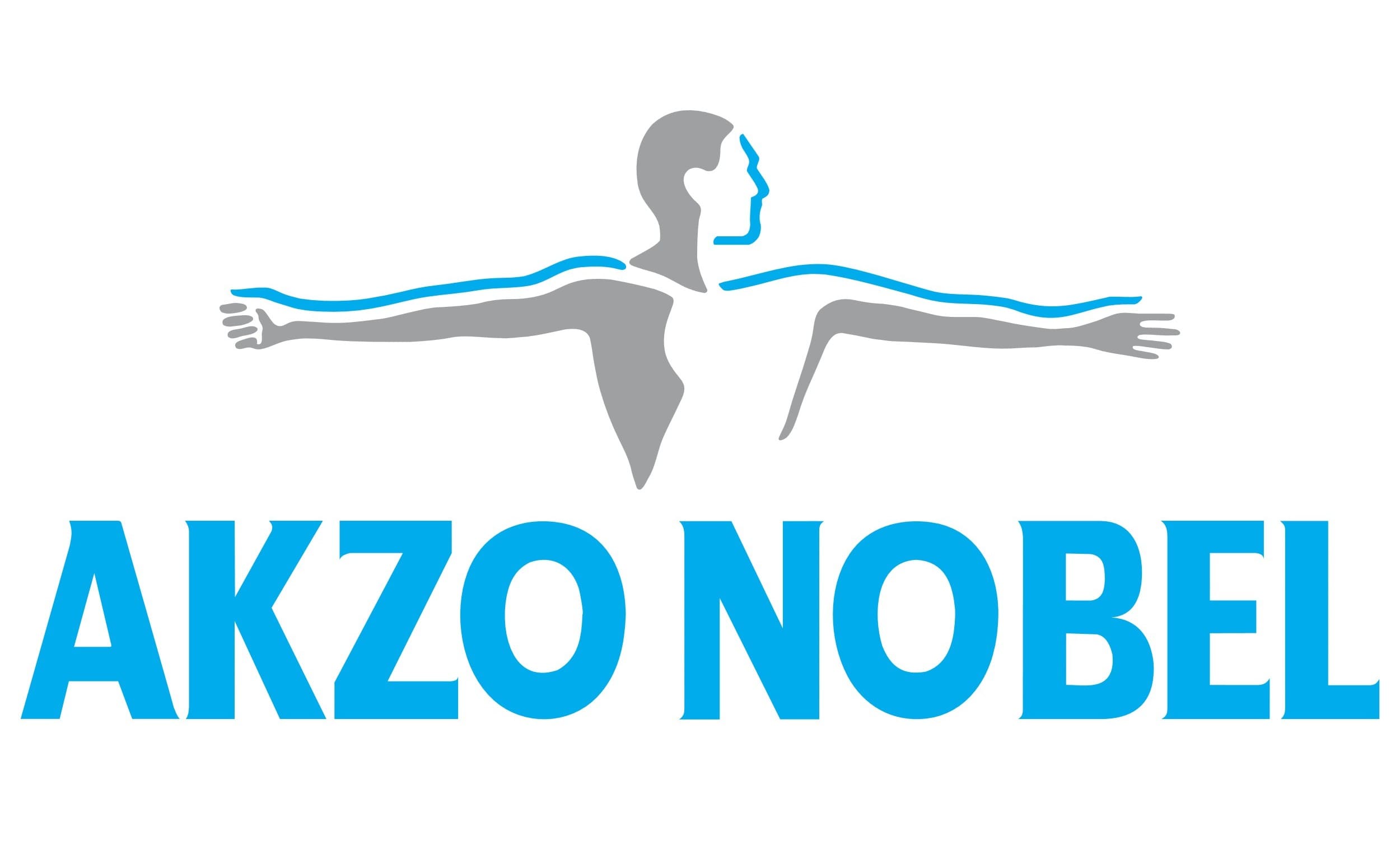 Akzonobel Logo