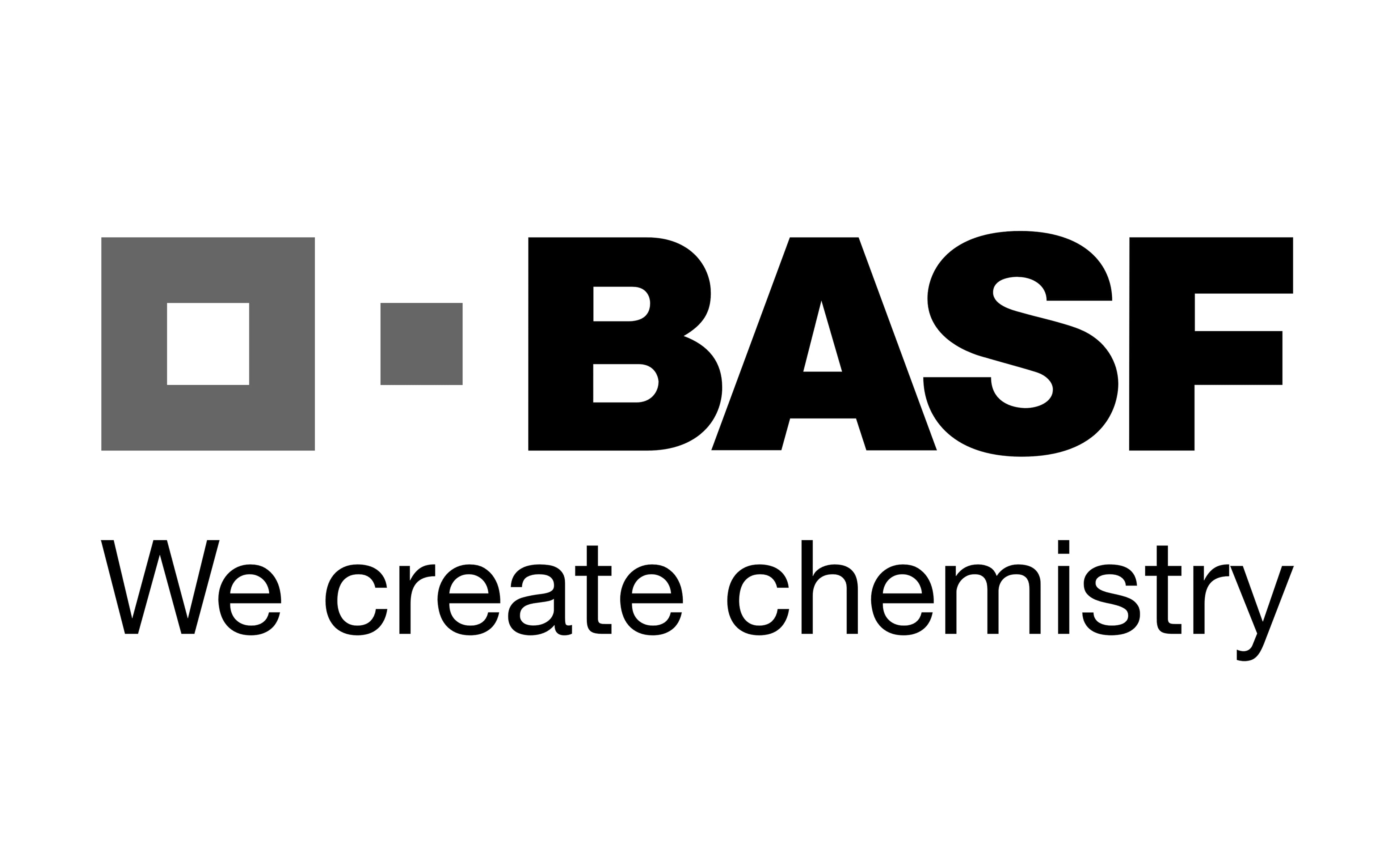 BASF Logo