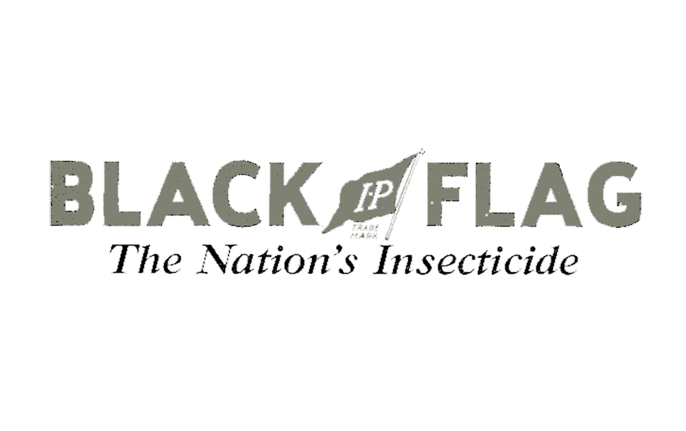 Black Flag Logo