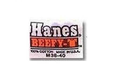 Hanes Logo 1980