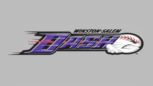 Winston-Salem Dash logo