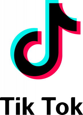 Tiktok Logo 2017