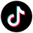 TikTok Logo icon