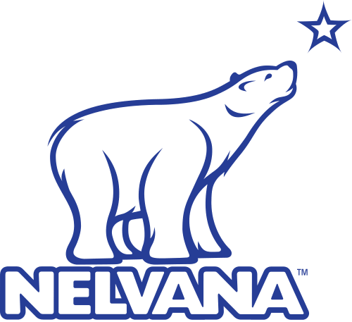 Nelvana Logo 2004